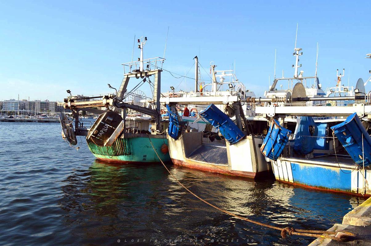 11 SANTA POLA PORT DE PECHE (132).JPG